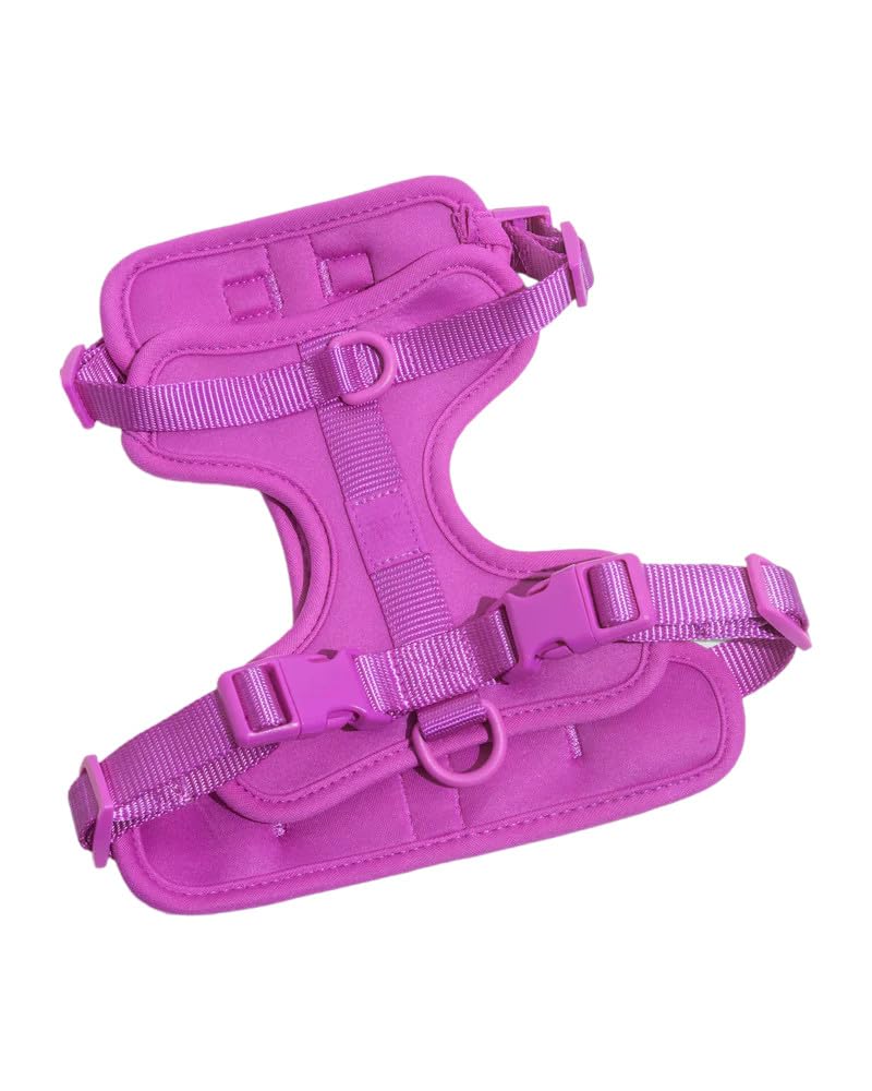 Wild One Dog Harness, No-Pull Pet Harness With 3 Leash Clips, Adjustable Soft Padded Dog Vest, Comfortable, Stretchy (Orchid, Ex