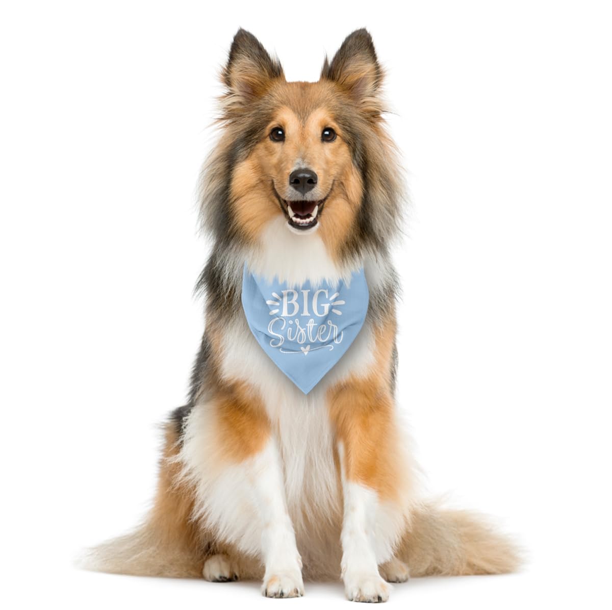 Big Sister Dog Bandana, Light Blue Pet Scarf Accessories, Pet Triangle Scarf, Dog Bandana For Small Medium Dogs, Baby Announceme