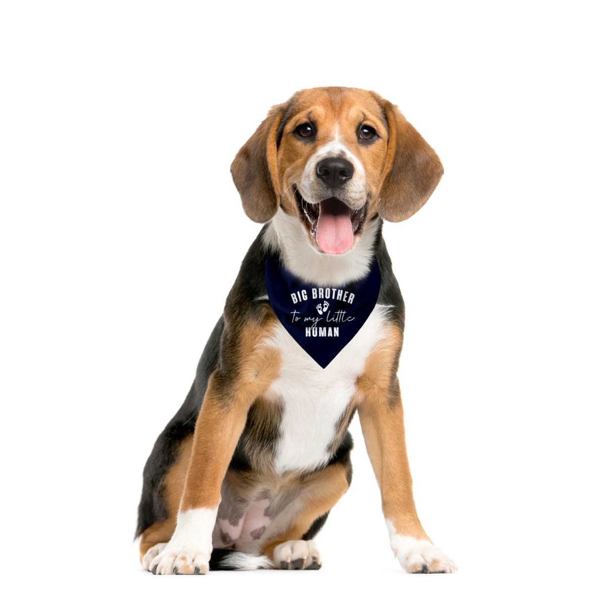 Wdsxwh Big Brother Dog Bandana, Dog Scarf, Dark Purple, Letter Print, 25 X 17 Inch, Flannel, Machine Wash, 3 Pack