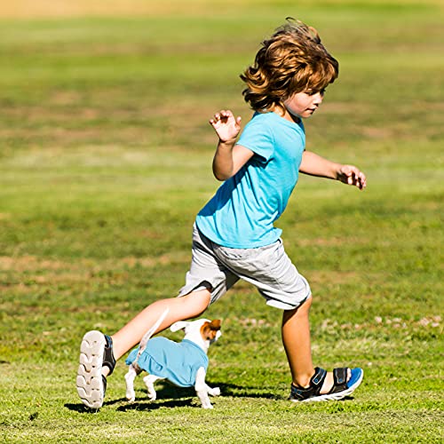 6 Pieces Dog Dresses Dog Shirt Skirt Dog Sleeveless Dress Breathable Pet Shirts With Ruffles Dog Sundress Dog Outfits For Dogs And Cats (Cute Style, L Size)