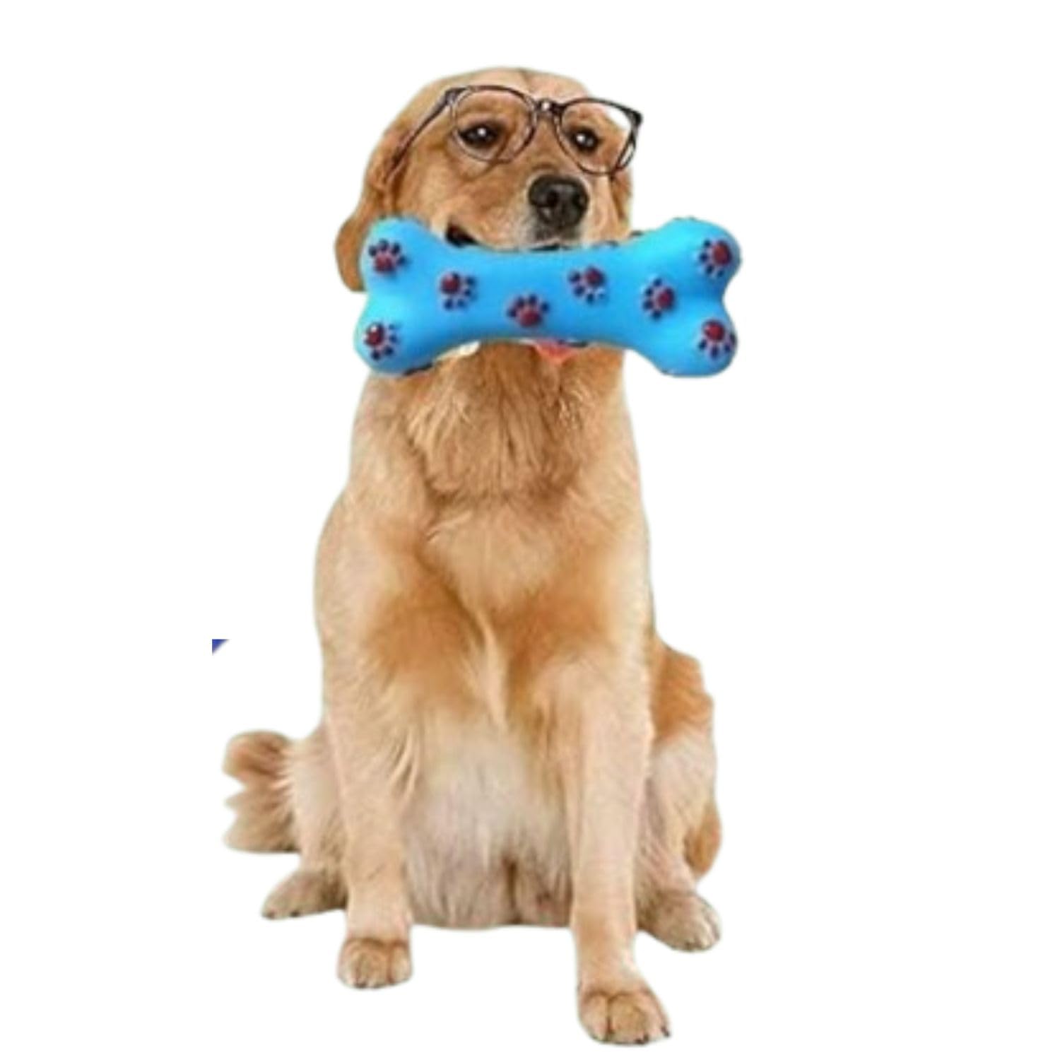 BOWLFULL BUDDIES Bone Shape Pets Toy,Pet Squeaky Bone Chew Toy for Aggressive Chewers, Rubber Bone Toy Pet Teeth Cleaning & Trai