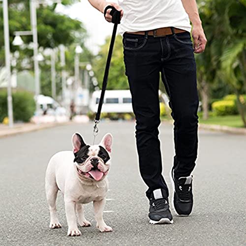 Downtown Pet Supply - Long Dog Leash - Dog Training Leash - Recall & Obedience Dog Training Tools - Nylon - 30 Ft - Black Dog Leash