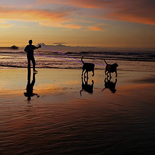 Plutus Pet Long Rope Dog Leash, With Comfortable Padded Handle, Reflective Nylon Heavy Duty Rope Leash, 15Ft 20Ft 30Ft 50Ft 66Ft Dog Training Leash For Small Medium Large Dogs (66Ft, Violet)