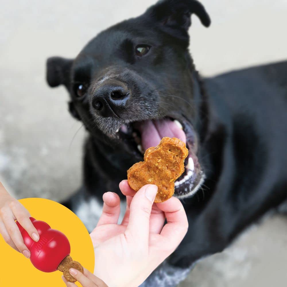 KONG Jerky - All-Natural Grain & Gluten Free Dog Treat - Healthy Pet Snack Between Meals - Fits Medium to X-Large KONG Toys