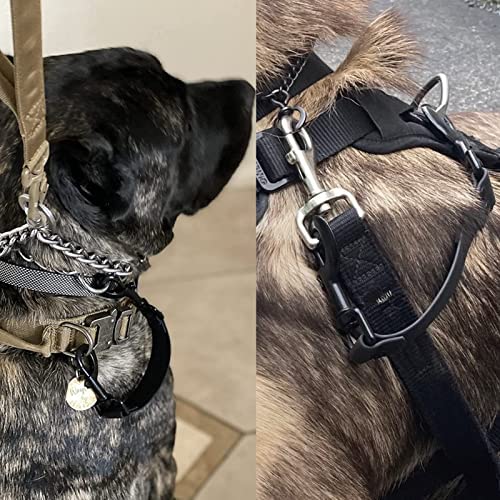 DEYACE Dog Collar Safety Clip, 2 Pack Waterproof Heavy Backup for Prong Collar, Dog Harness Collar Leash Connector (10-Inches, B