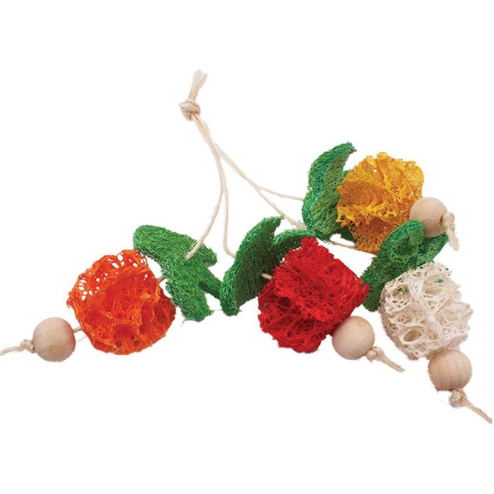 A&E Cage Company 52400969: Toy Loofah Bunch Of Fruit