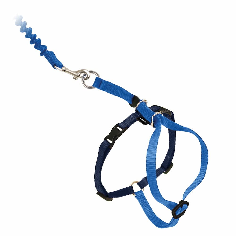 Petsafe Come With Me Kitty Harness And Bungee Leash, Large, Royal Blue