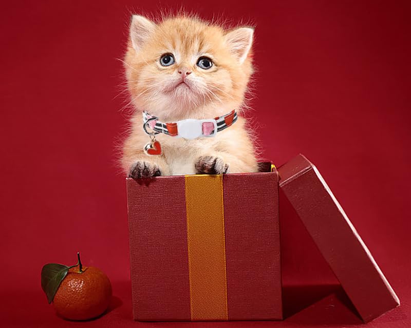 Lionet Paws 2Pcs Pack Valentine'S Day Cotton Cat Collar,Breakaway Buckle With Black Stripe Pink Heart Cute Adjustable Cat Kitten