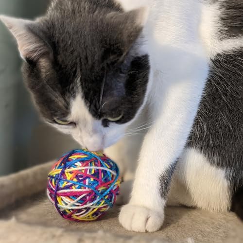Spot Ethical Products Sew Much Fun/Yarn Ball Cat Toy / 2.5' / 2Pack, Multicolor