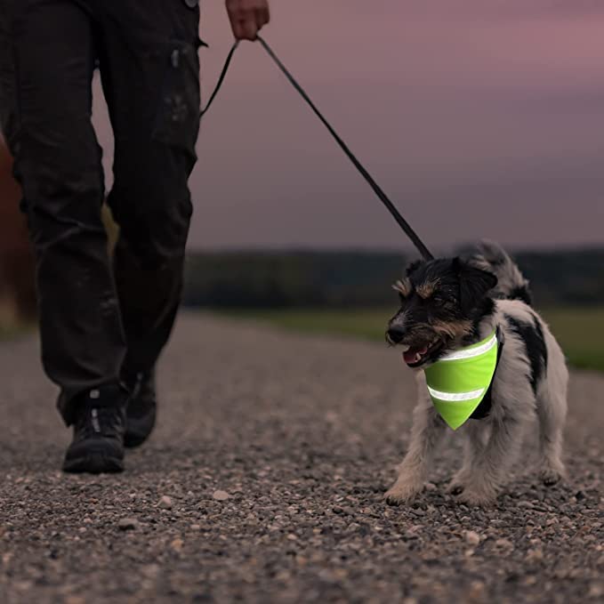 Encell Set of 2 Dog Bandana Reflective Scarf Safety Pet Hunting Bandana,Green,L