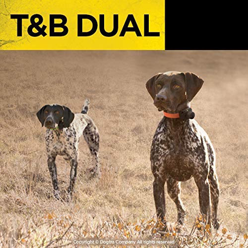 Dogtra T&B Dual 2-Dog Long Range 1.5-Mile Expandable Dual Dial Training & Beeper Remote Dog Training E-Collar For Upland Gun Dog
