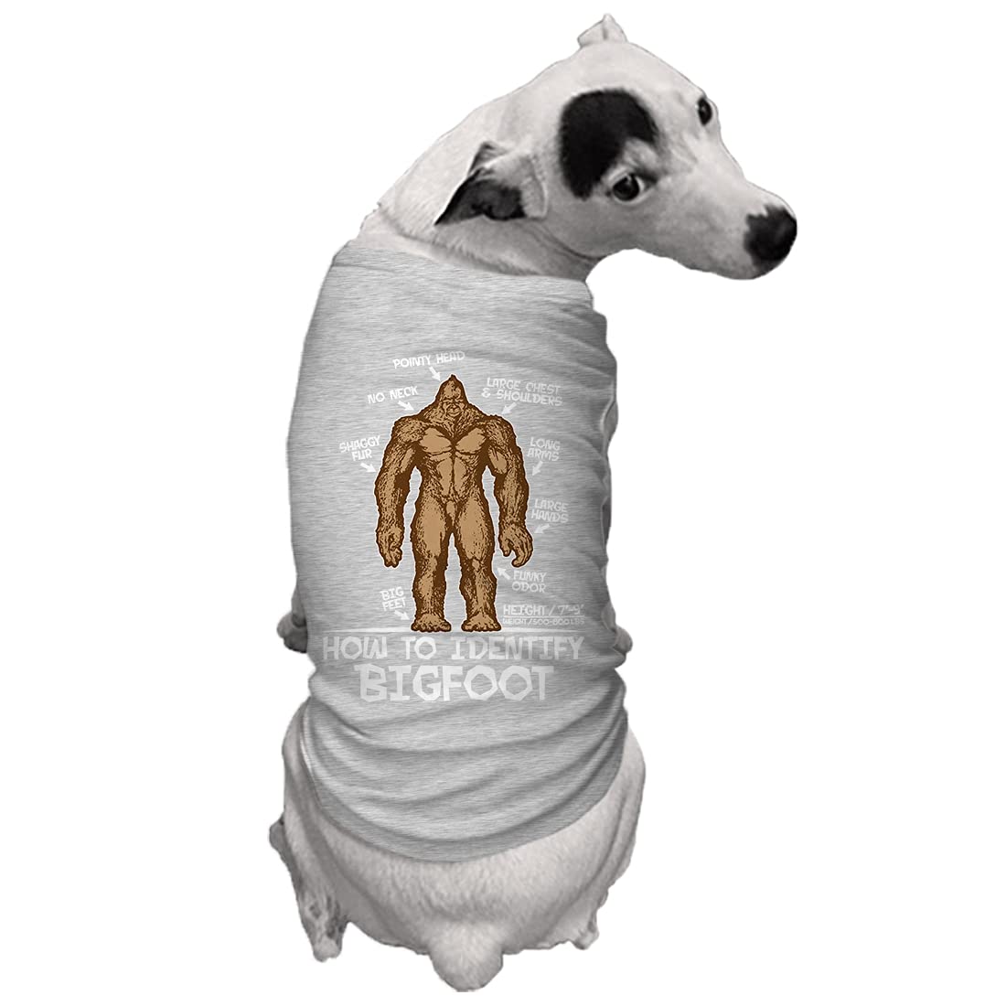 How To Identify Bigfoot - Dog Shirt (Light Gray, X-Small)