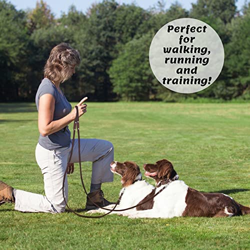 Adityna - Premium Leather Dog Leash - 6 Ft, Heavy-Duty, Soft & Strong For Small/Medium Dogs (Medium: 6 Ft X 5/8', Brown)