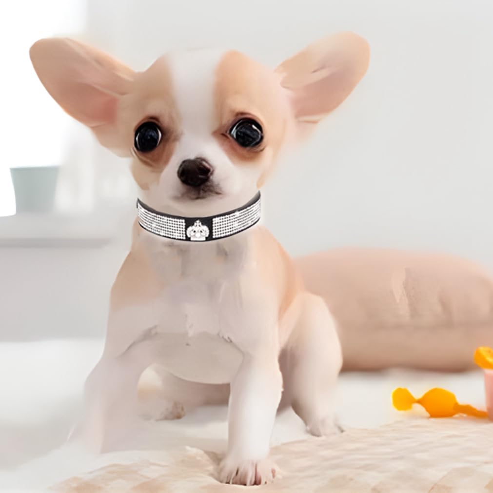 Black Bling Dog Collars For Medium Dogs, Rhinestone Dog Collar, Diamond Dog Collar Boy Pretty Jewel Glitter Sparkly Pet Collars