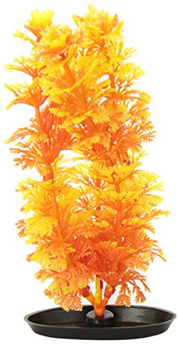 Marina Vibrascaper Ambulia, 8-Inch