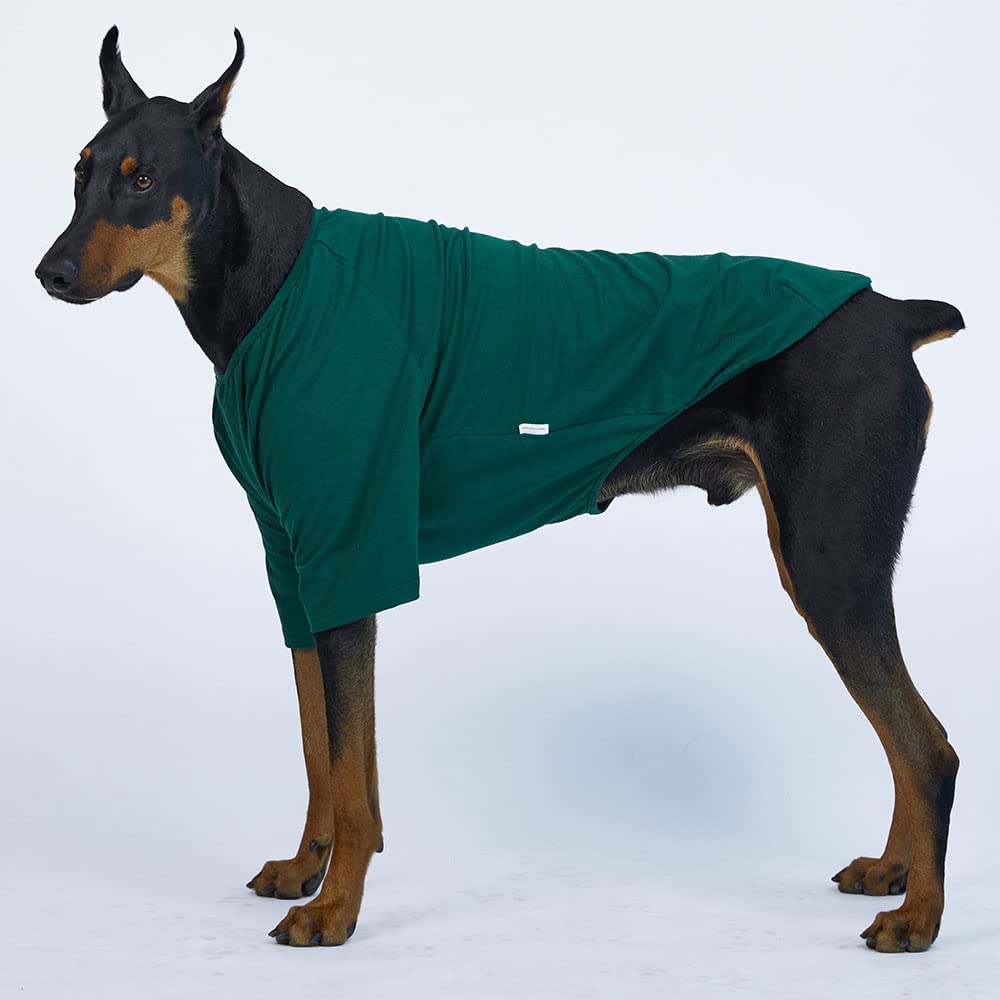 Lucky Petter Dog Shirt For Small Dogs Plain T-Shirts Soft Breathable Dog Cotton Shirt Pet Clothes (3X-Large, Green)
