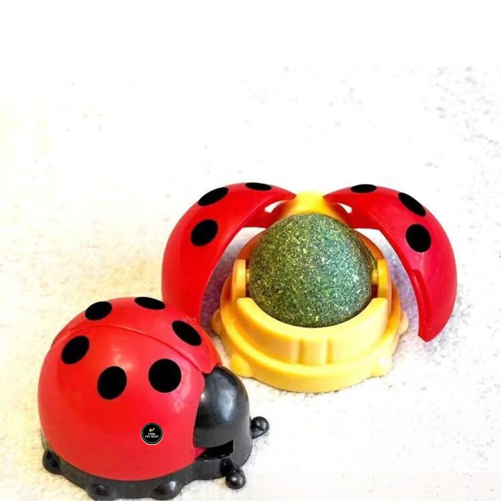 Psk Pet Mart Catnip Balls Toy For Cats Edible Wall Ball Rotatable Natural Catnip Roller Ball Cat Teeth Cleaning Interactive Toy 