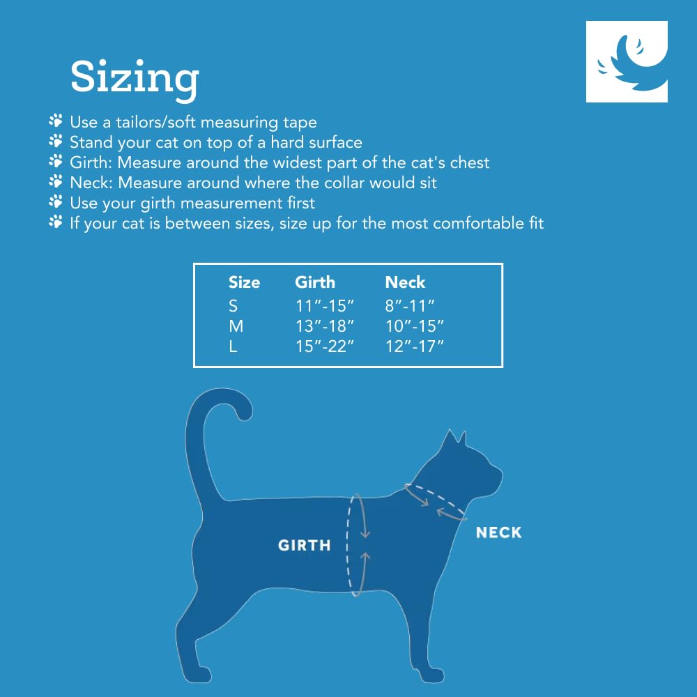 RC Pets Adventure Kitty Harness Includes Adjustable, Airmesh Fabric, 6 Leash and D-Ring Cat Walking Harness | Teal, Small