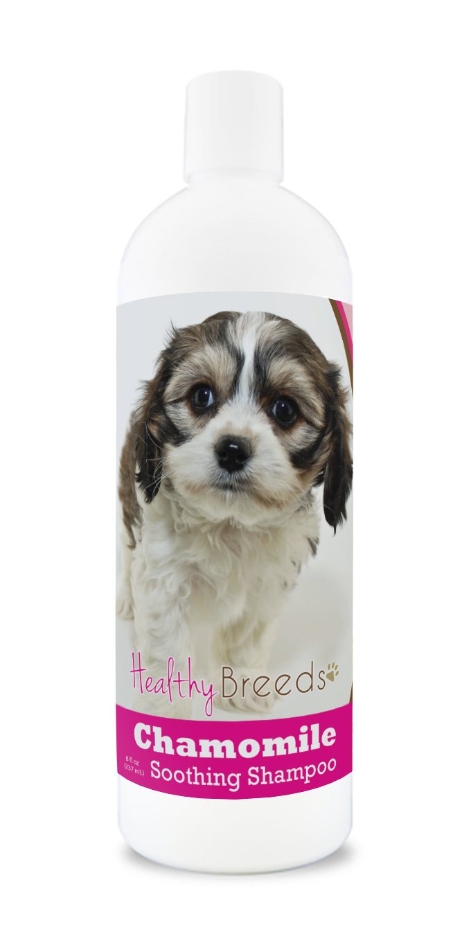 Healthy Breeds Cavachon Chamomile Soothing Dog Shampoo 8 oz
