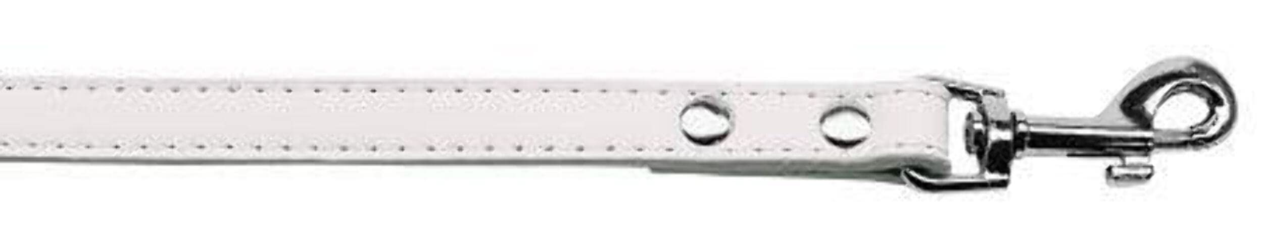 Mirage Pet Products Premium Plain Pet Leash, 1/2" x 6', Bright Pink