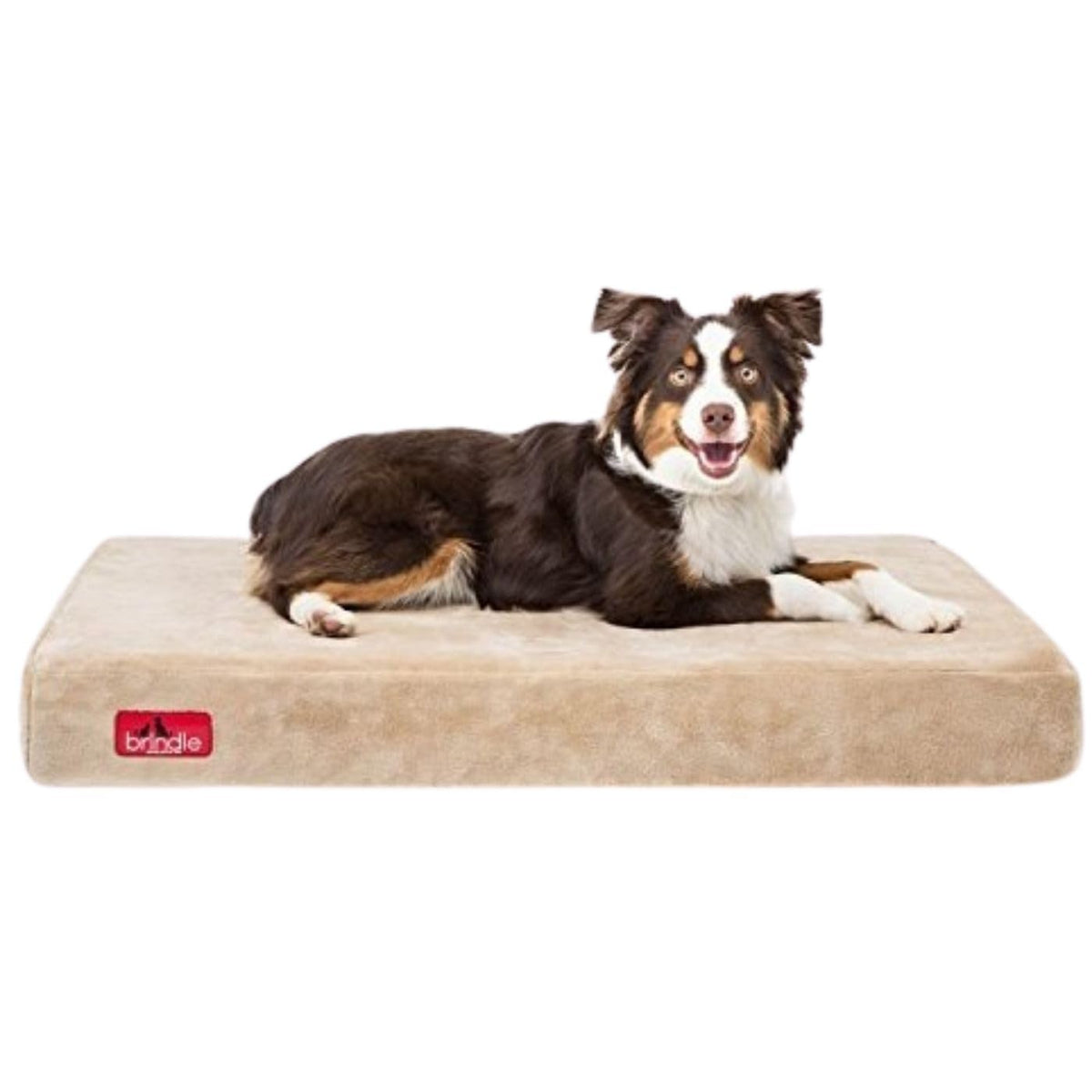 Brindle Waterproof Memory Foam Pet Bed - Removable And Washable Cover - 4 Inch Orthopedic Dog And Cat Bed - Fits Most Crates