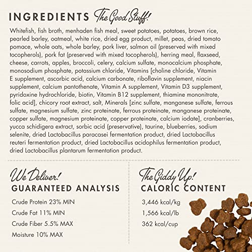 Fromm Four-Star Nutritionals Whitefish & Potato Dog Food - Premium Dry Dog Food - Whitefish Recipe - 26 lb