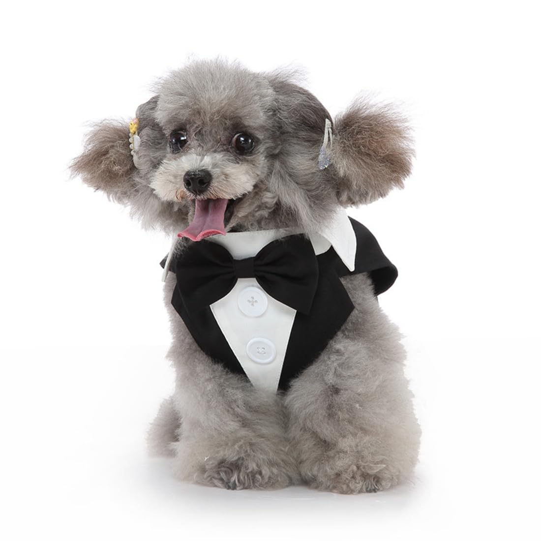 Doteyayp Puppy Tuxedo With Detachable Bowtie Prom Wedding Formal Wear Prince Costume For Small Dog (Medium, Black)