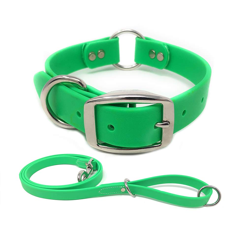 Regal Dog Products Large Light Green Waterproof Dog Collar And Leash Set - Vinyl Coated Biothane Pet Training Collar With Heavy Duty Center Ring & 5Ft Leash - Other Sizes For Puppy Small & Medium Dogs