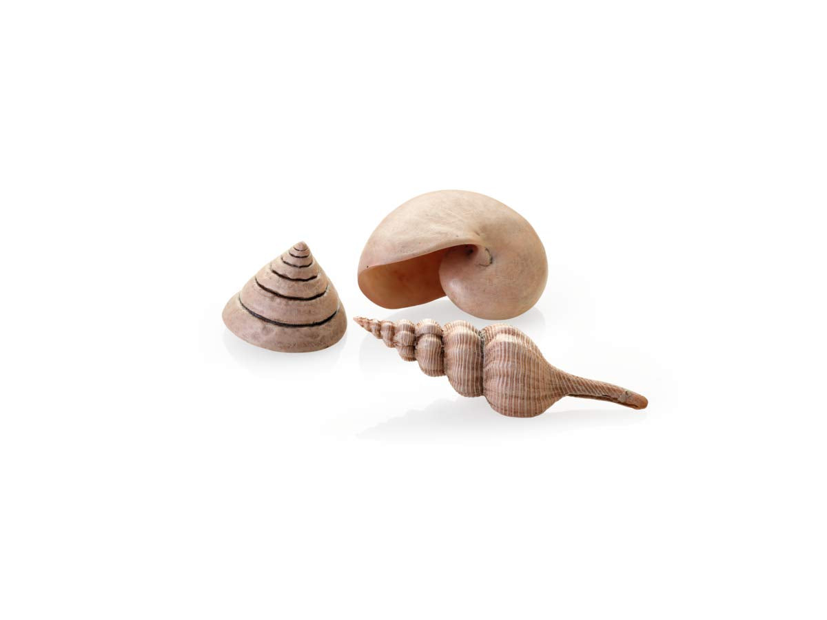 Biorb Sea Shells Natural