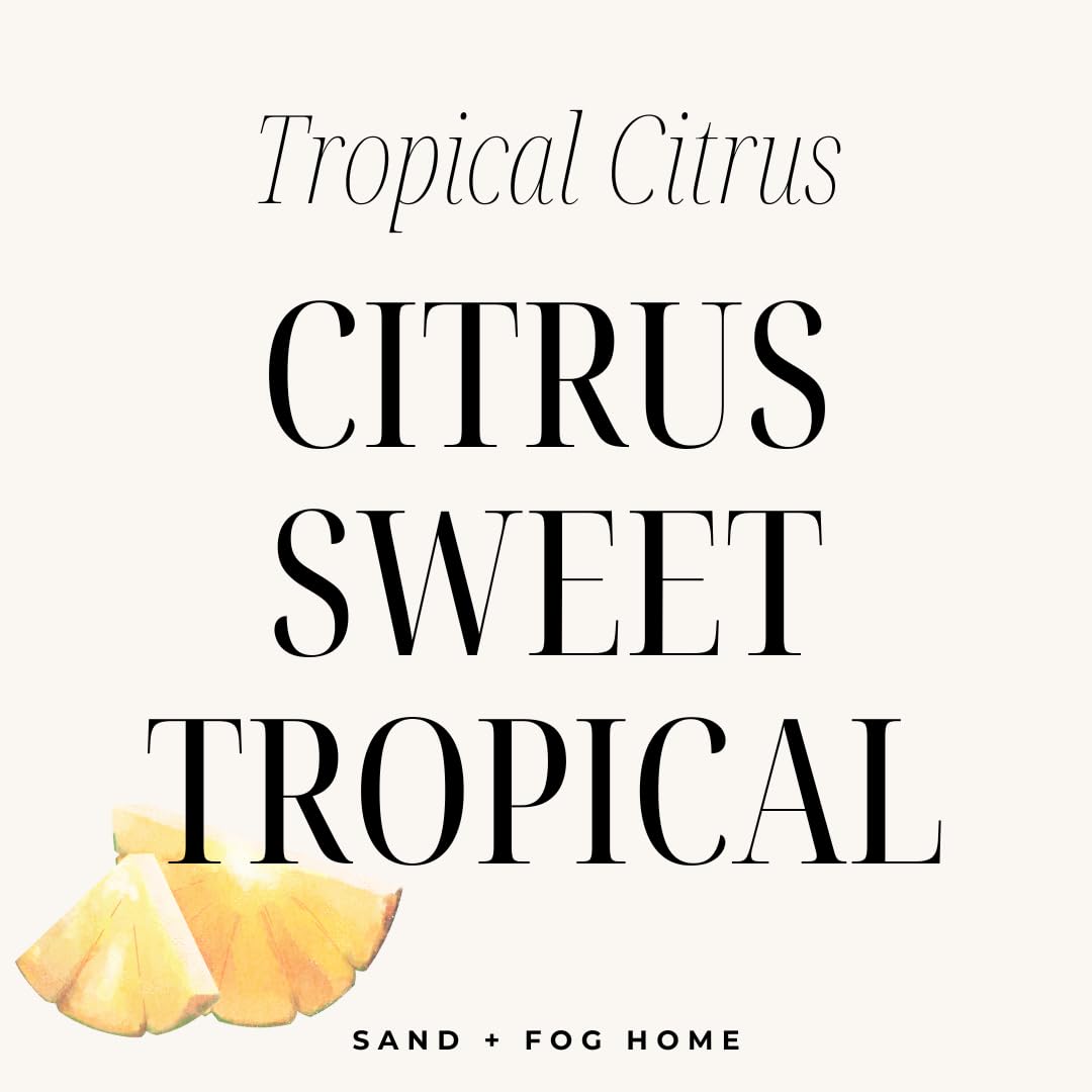 Sand + Paws Scented Candle - Tropical Citrus - Additional Scents and Sizes -Luxurious Air Freshening Jar Candles Neutralize pet
