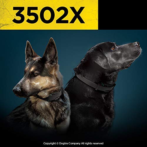Dogtra 3502X Waterproof Dual DIAL Dog Training E-Collar, 1.5-Mile Range, Black/Orange, Expandable for 2 Dogs, Professional Use
