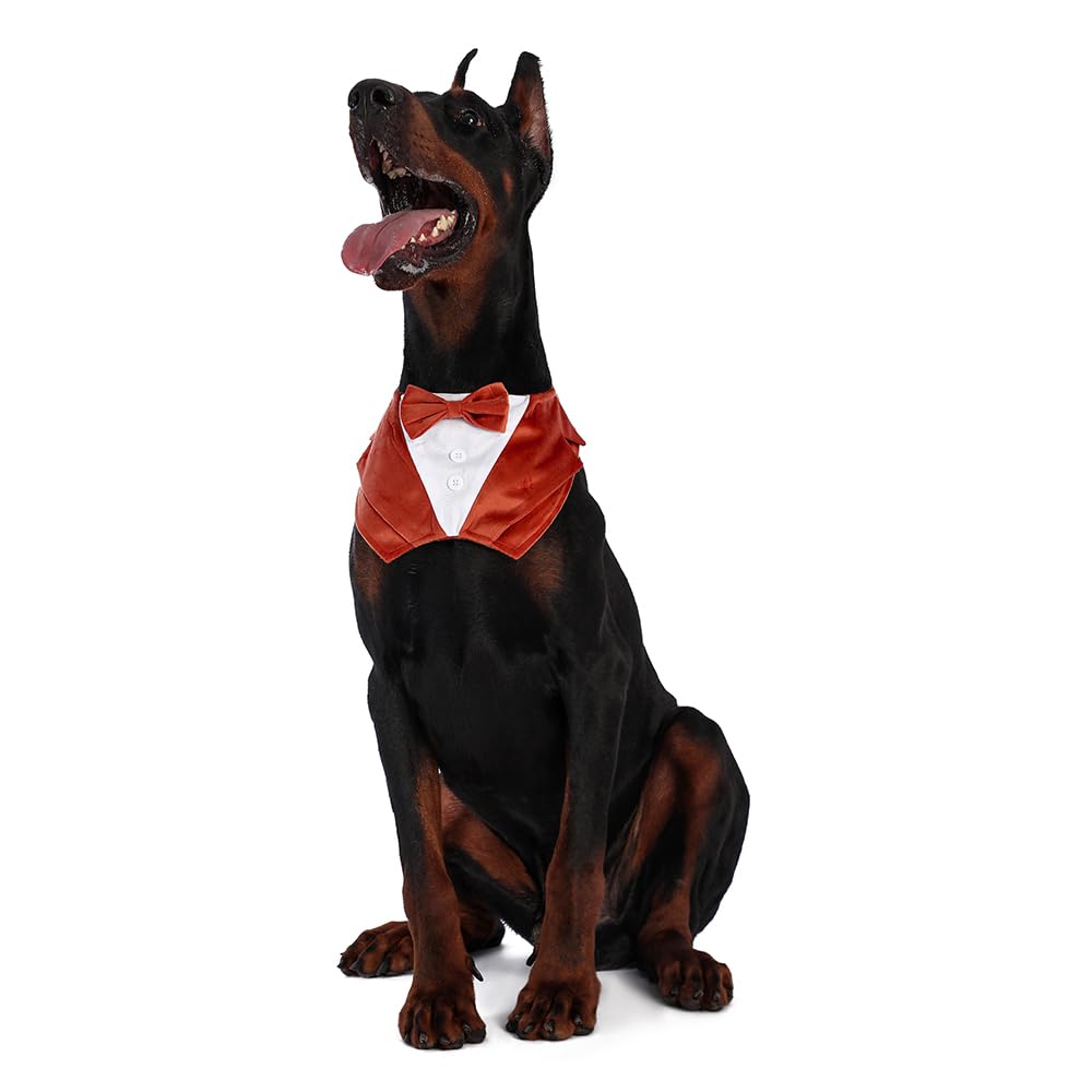 Dog Tuxedo For Wedding Engagement And Birthday, Halloween Formal Suit Tux Bandana Costume With Orange Bow Tie And Adjustable Buc