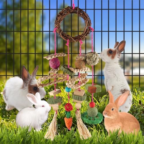 YIXUND Rabbit & Guinea Pig Toys - Hamster & Bunny Toys - Natural Timothy Hay & Apple Wood Sticks - Chinchilla Teeth Care - Handm