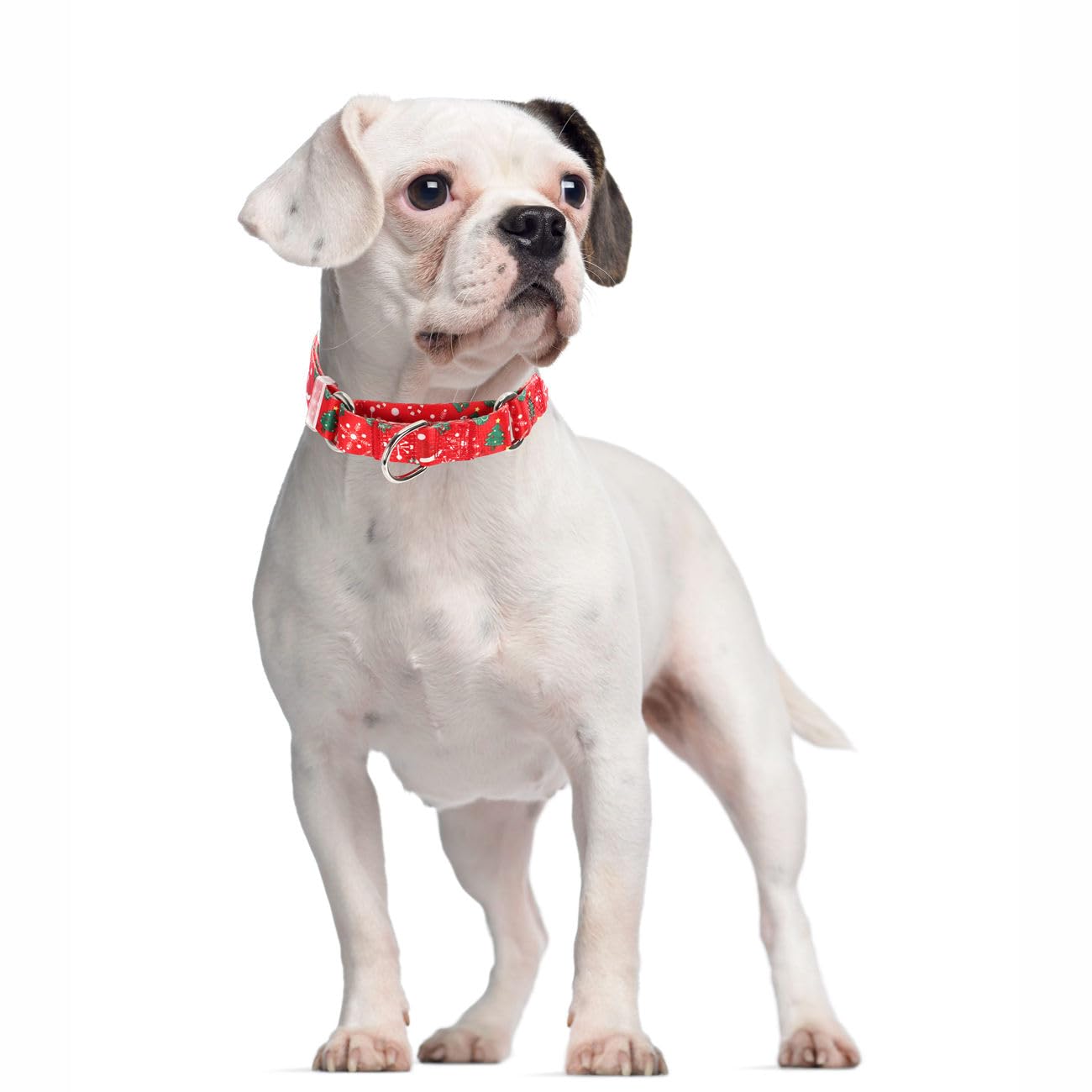 Christmas Martingale Dog Collar, Red Cheistmas Xmas Dog Collar No-Slip Escape Proof Choke No Pull Cinch Soft Nylon Dog Training