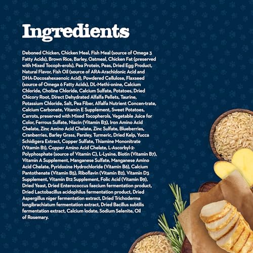 Blue Buffalo Baby BLUE Natural Kitten Dry Cat Food, Healthy Growth Formula with DHA, Chicken and Brown Rice Recipe, 2-lb. Bag