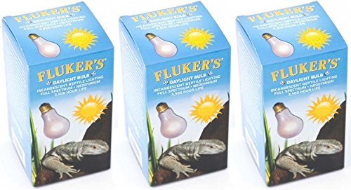 Fluker'S Pack Of 3 Neodymium Daylight Bulbs, 100 Watts, For Reptiles