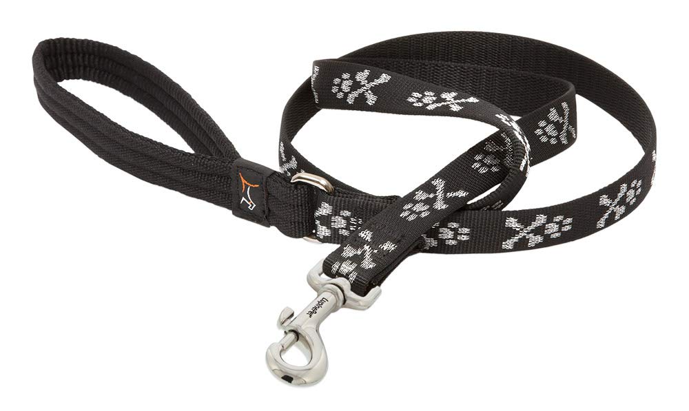 Lupinepet Originals 3/4 Bling Bonz 6-Foot Padded Handle Leash For Medium And Larger Dogs