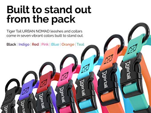 Tiger Tail Urban Nomad Dog Collar | Waterproof, Odor Proof, Durable, Anti-Mat & Lightweight | Premium Coated Nylon | For Large, Medium & Small Breed Pets | Black, Medium