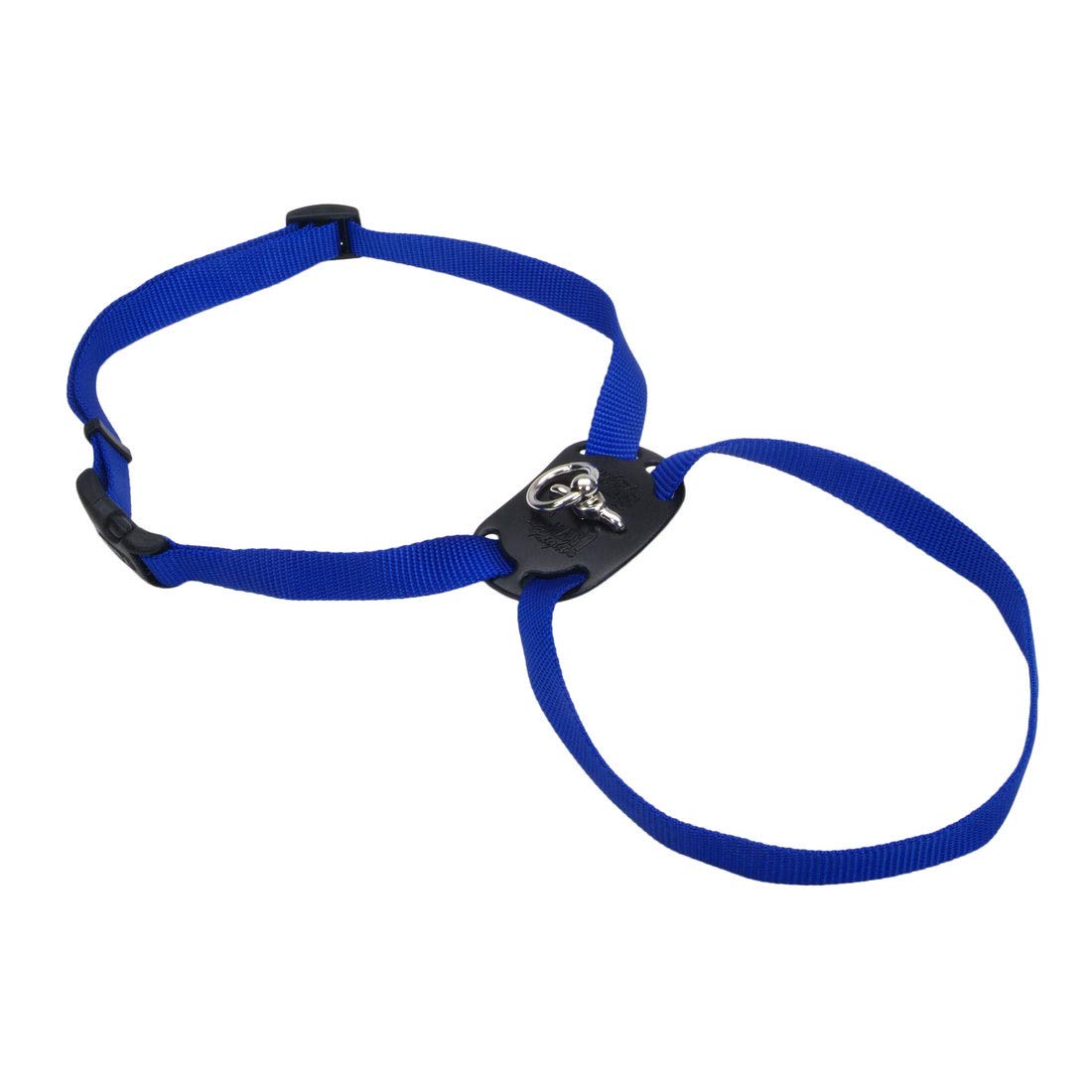 Coastal Pet Size Right Adjustable Dog Harness - Small & Big Dog Harness - Comfortable Dog Training Harness - Includes Snap-Lock Buckle - Quality Dog Supplies - Blue, 3/8' X 12-18'