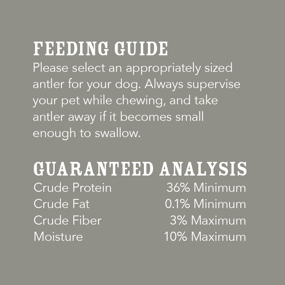 Amazon Brand - Wag Dog Deer Antler Chew, Naturally Shed, Whole, Large 8-9.5 inches, Long Lasting for Aggressive Chewers, Best fo