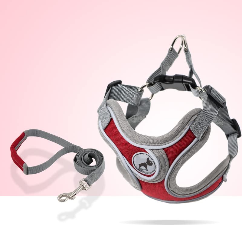 Dog Harness with Leash, Soft Adjustable Step in Reflective Strips Collars Harness Vest for Small Medium Dogs Training and Runnin