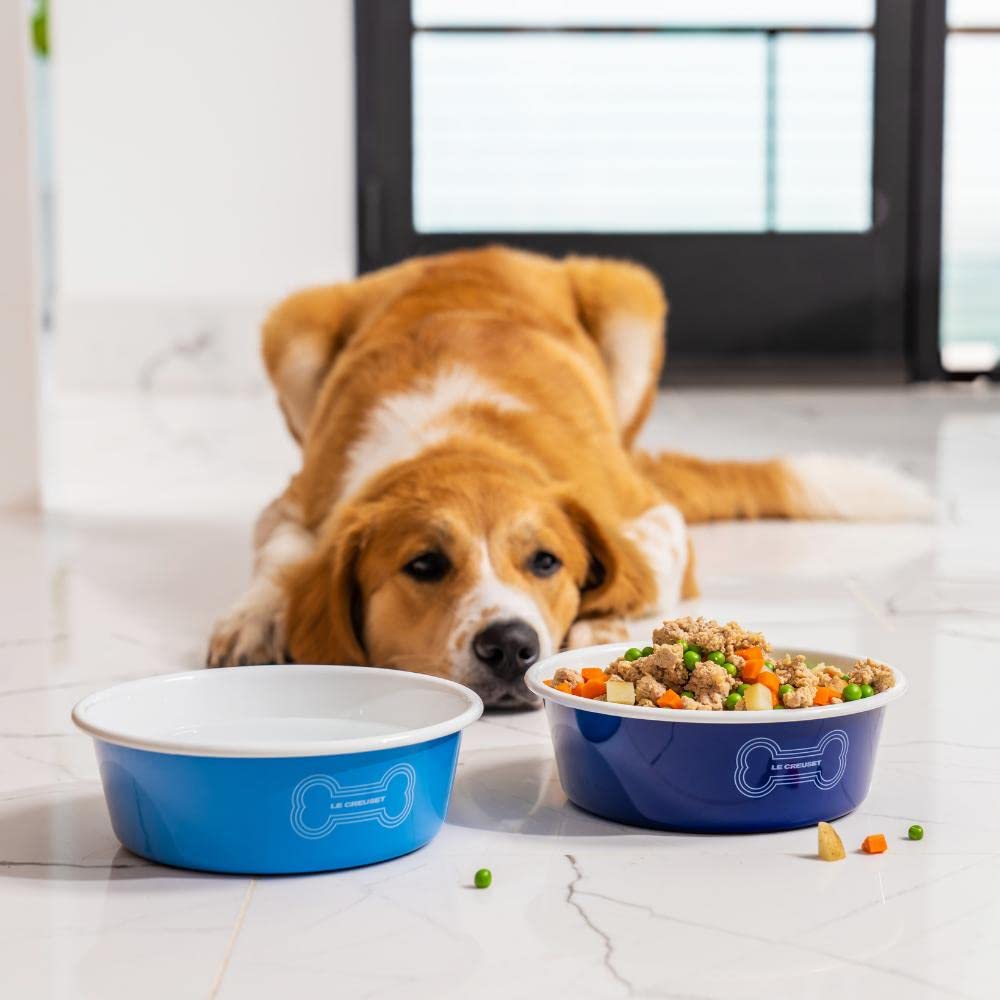 Le Creuset Enamel on Steel Large Dog Bowl, 6 Cups, Orange