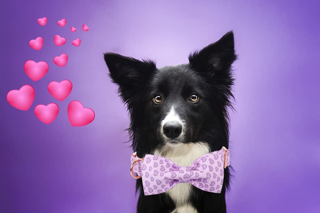 Elegant Little Tail Valentine'S Dog Collar With Bow, Cute Heart Dog Bowtie Pet Gift Dog Collar For Large Dogs