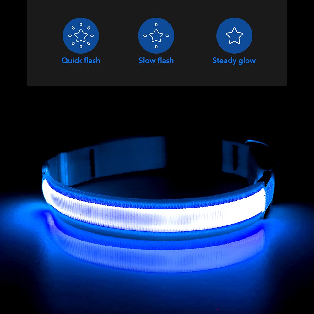 Bseen Light Up Dog Collars - Reflective Led Dog Collar, Rechargeable Dog Glow Collar, Waterproof Glowing Dog Collar Lights For Night Walking (Royal Blue, Large)