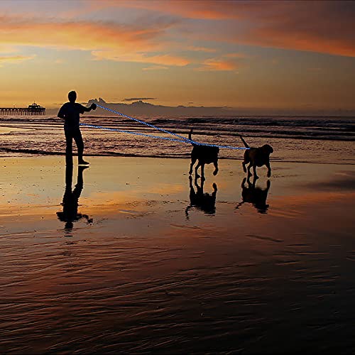 Plutus Pet Long Rope Dog Leash, With Comfortable Padded Handle, Reflective Nylon Heavy Duty Rope Leash, 15Ft 20Ft 30Ft 50Ft 66Ft Dog Training Leash For Small Medium Large Dogs (50Ft, Navy Blue)