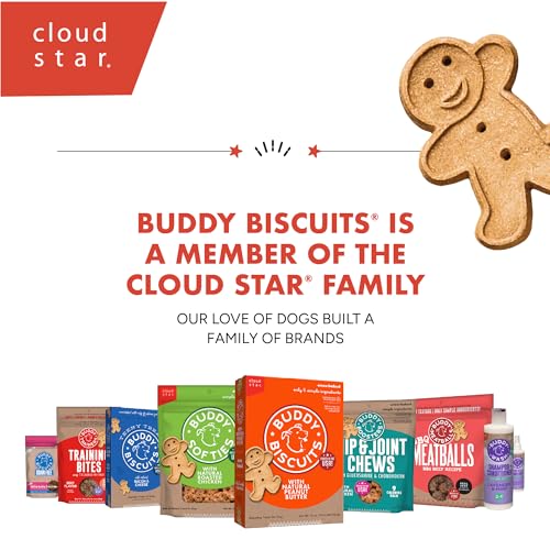 Buddy Biscuits Softies 5 oz Pouch, Grain-Free Soft & Chewy, Natural Grilled Beef Flavor Dog Treats, Oven Baked in The USA