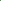Mirage Pet Products Hot Lime Green Nylon Collar for Small Dogs & Cats - Durable, Lightweight, Stylish