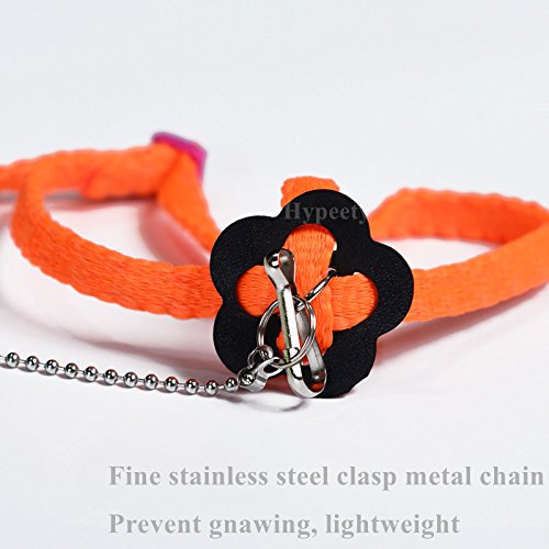 Hypeety Beauty Parrot Adjustable Bird Harness And Leash Outdoor Flying Anti-Bite For Bird Parrot African Grey Cockatoo Macaw Ringneck Parakeet Cockatiel Small Size Birds