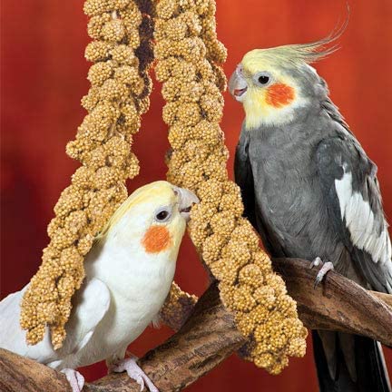 Nemeth Farms Natural Sun Dried Millet Spray for Pet Birds - Non-GMO Parrot Treats, 2 lb