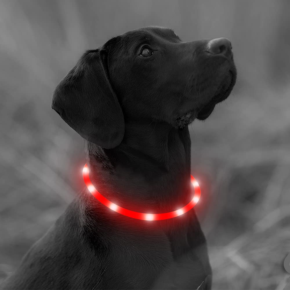 Higo Light Up Dog Collars - Rechargeable Lightweight Glowing Puppy Collar, Silicone Lighted Pet Collar Lights For Night Walking (Red)